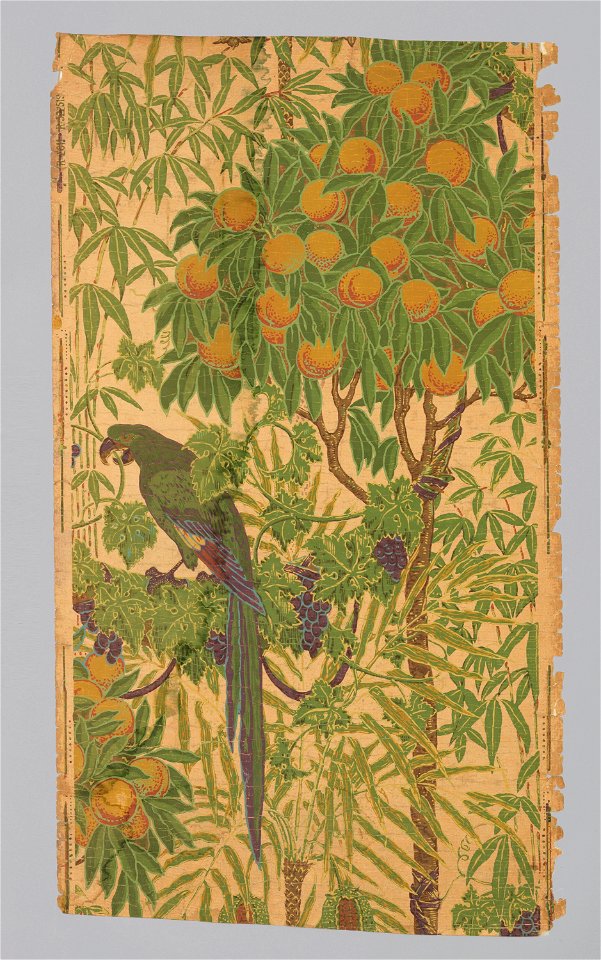 Sidewall, Macaw, 1908 (CH 18394795)