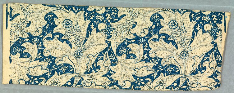Sidewall, Wall flower, 1890 (CH 18564475)