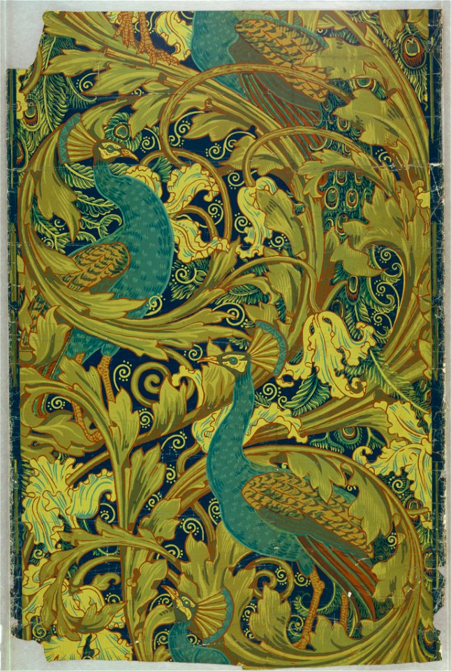 Sidewall, The Peacock Garden, 1889 (CH 18353757-3)