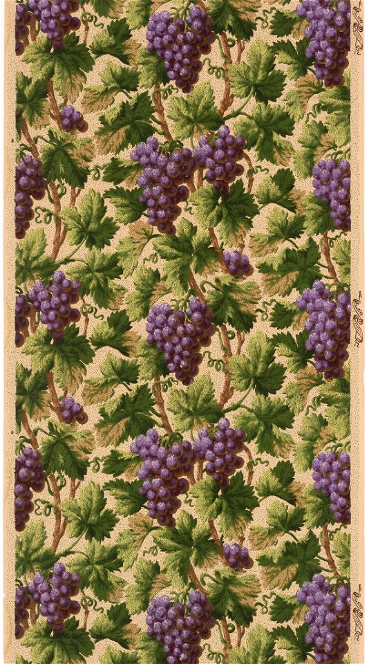Sidewall (USA), 1905–1915 (CH 18501469)
