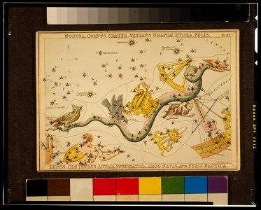 Sidney Hall - Urania's Mirror - Noctua, Corvus, Crater, Sextans Uraniæ, Hydra, Felis, Lupus, Centaurus, Antlia Pneumatica, Argo Navis, and Pyxis Nautica - original