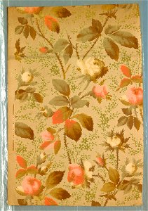 Sidewall (USA), 1879–1887 (CH 18562353-3)