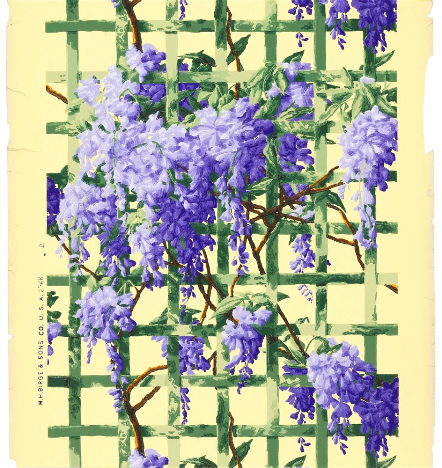Sidewall (USA), 1890–1920 (CH 18475301-2)