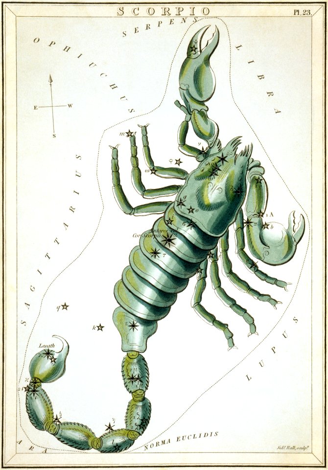 Sidney Hall - Urania's Mirror - Scorpio