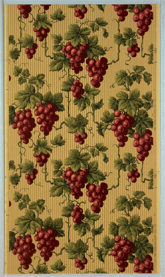 Sidewall (USA), 1900 (CH 18476233-3)