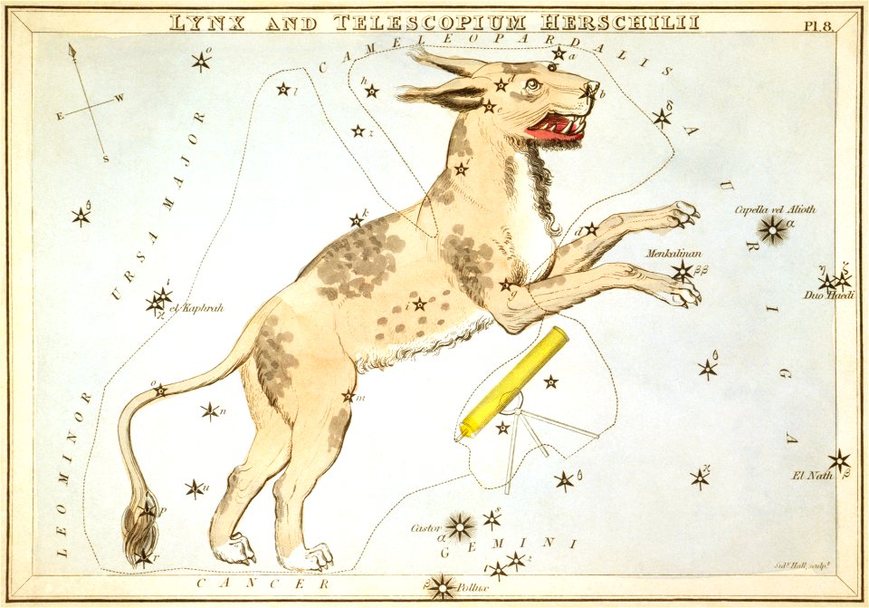 Sidney Hall - Urania's Mirror - Lynx and Telescopium Herschilii