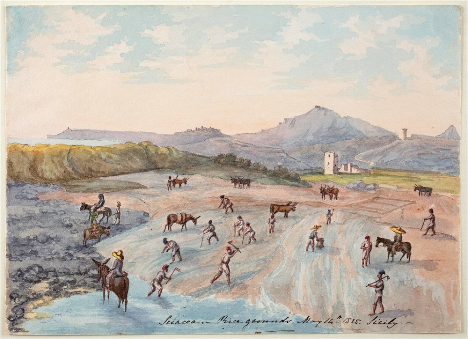 Sicily in the Year 1825 - Elizabeth Campbell - 31