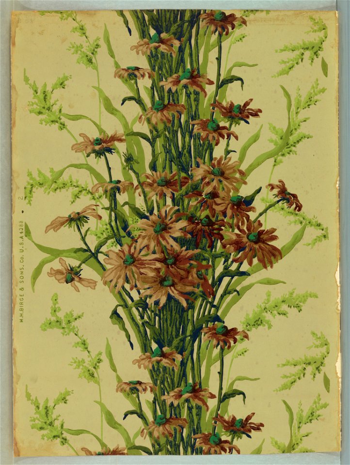 Sidewall (USA), 1879–1887 (CH 18562353-4)