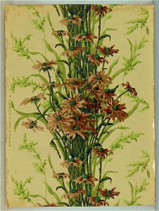 Sidewall (USA), 1879–1887 (CH 18562353-4)