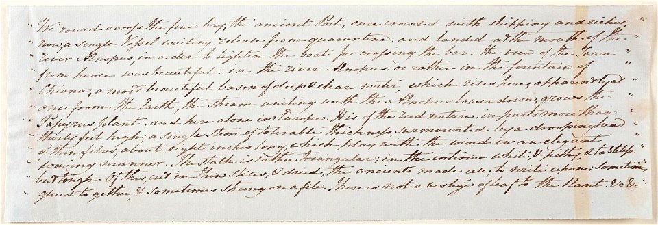 Sicily in the Year 1825 - Elizabeth Campbell - text 14