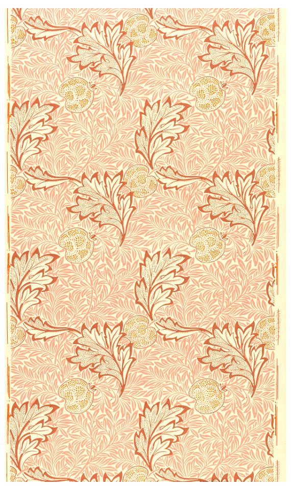 Sidewall, Apple, 1877 (CH 18564547)