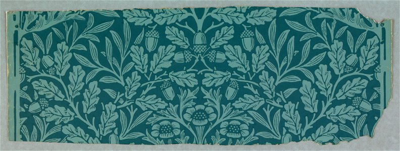 Sidewall, Acorn, 1880 (CH 18564479)