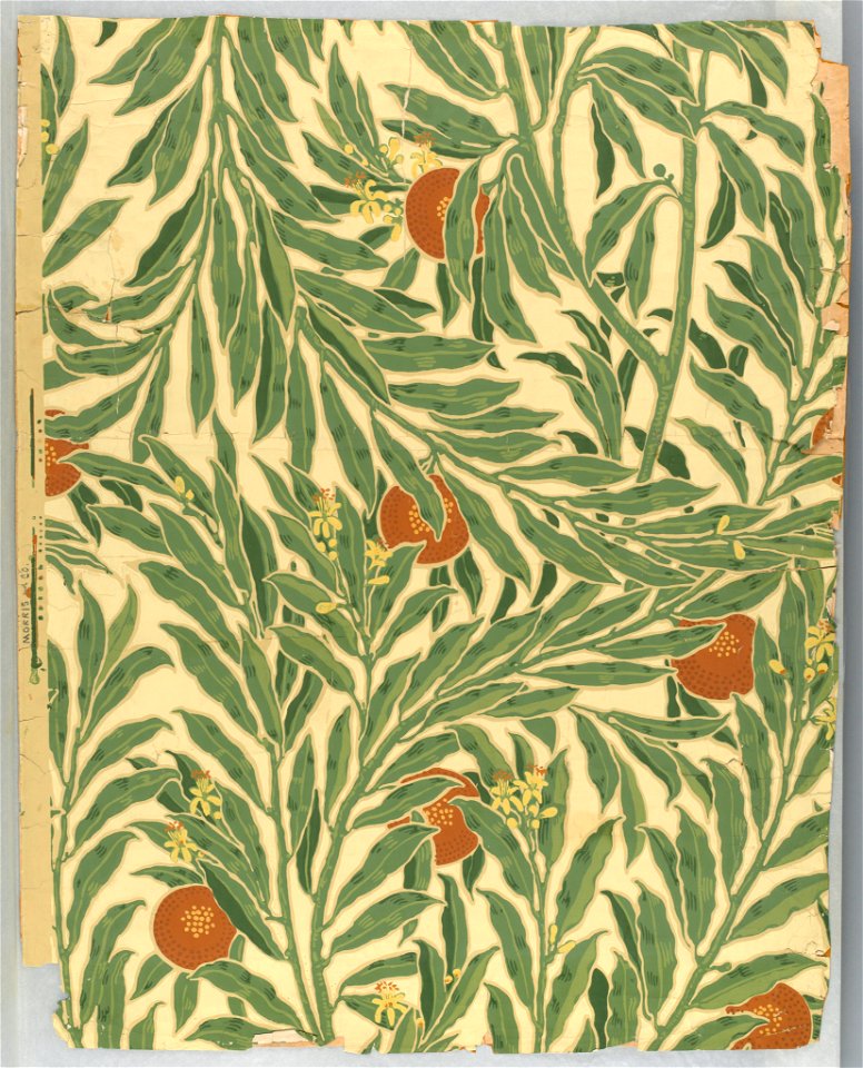 Sidewall, The Orange Tree, 1902 (CH 18615681-2)