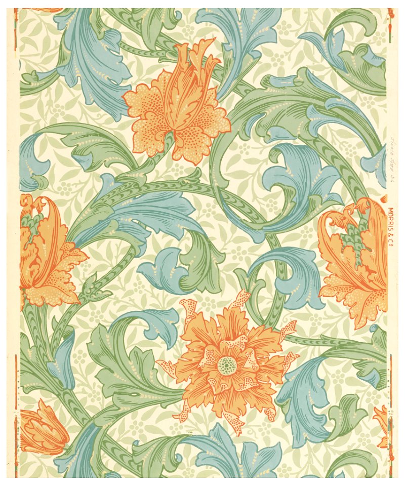 Sidewall, Single Stem, 1905 (CH 18340039)
