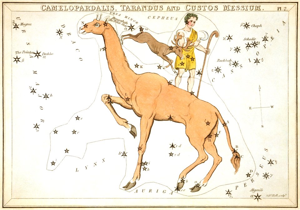 Sidney Hall - Urania's Mirror - Camelopardalis, Tarandus and Custos Messium
