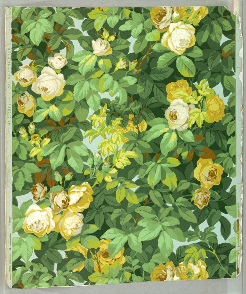 Sidewall - Floral (France), 1904 (CH 18383471)