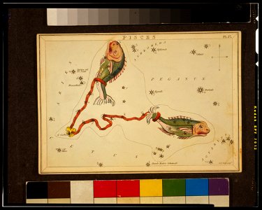 Sidney Hall - Urania's Mirror - Pisces - original