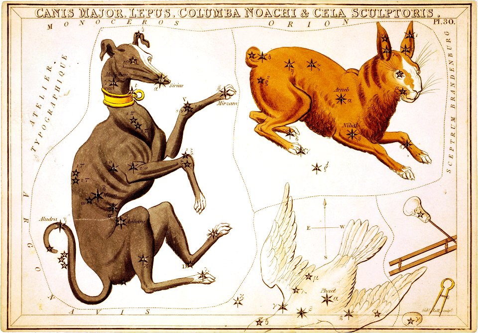 Sidney Hall, Canis Major, Lepus, Columba Noachi and Cela Sculptoris, 1825