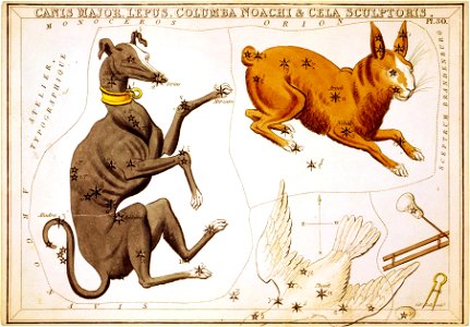Sidney Hall, Canis Major, Lepus, Columba Noachi and Cela Sculptoris, 1825