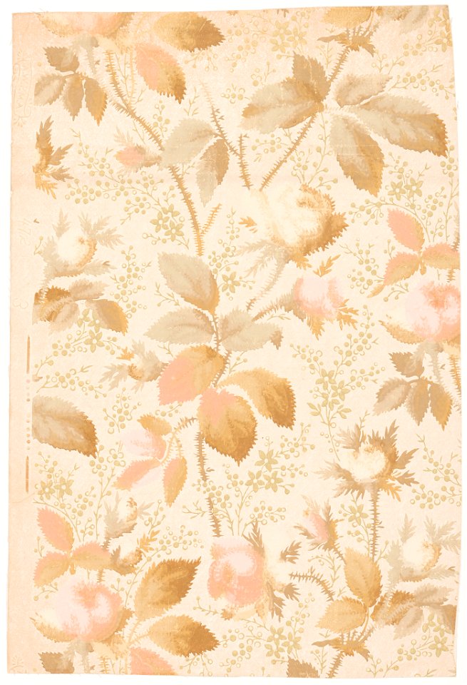 Sidewall (USA), 1879–1887 (CH 18562353-6)