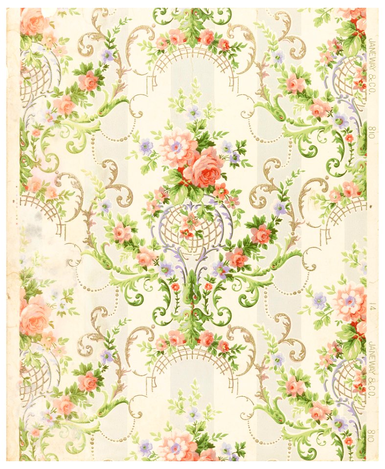 Sidewall (USA), 1890–1900 (CH 18556725)