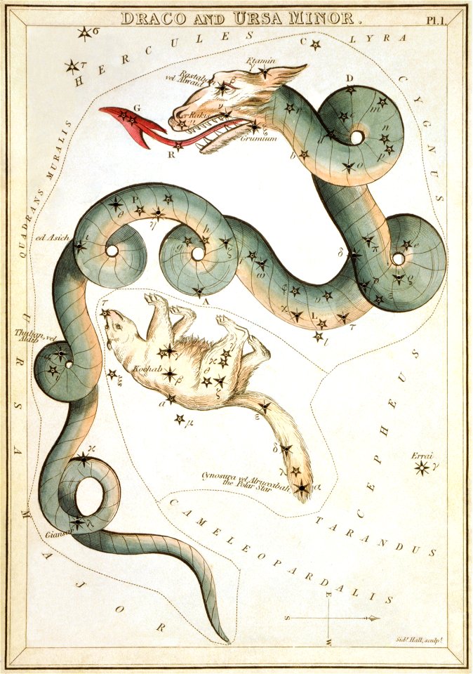 Sidney Hall - Urania's Mirror - Draco and Ursa Minor