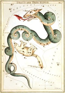 Sidney Hall - Urania's Mirror - Draco and Ursa Minor