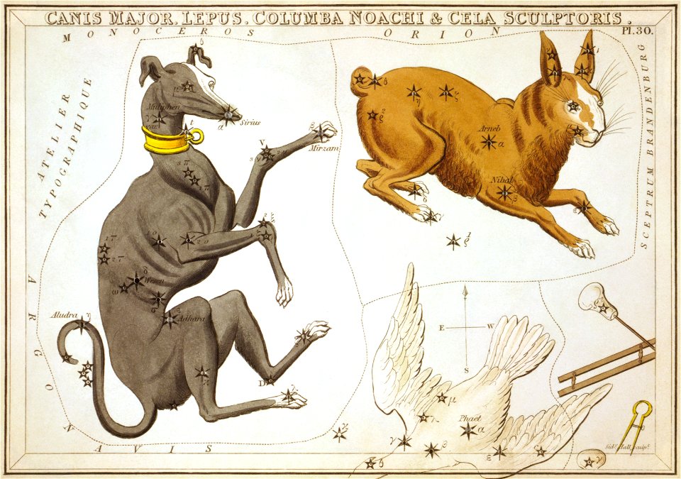 Sidney Hall - Urania's Mirror - Canis Major, Lepus, Columba Noachi & Cela Sculptoris