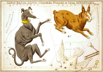 Sidney Hall - Urania's Mirror - Canis Major, Lepus, Columba Noachi & Cela Sculptoris