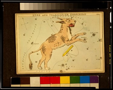 Sidney Hall - Urania's Mirror - Lynx and Telescopium Herschilii - original