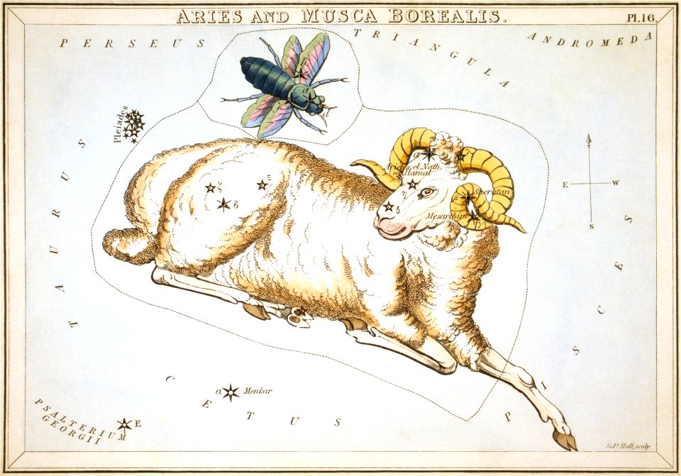 Sidney Hall - Urania's Mirror - Aries and Musca Borealis
