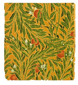 Sidewall, The Orange Tree, 1902 (CH 18562375)