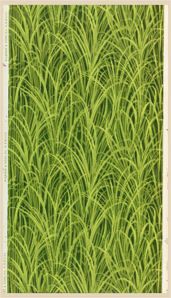 Sidewall And Frieze (USA), 1905–15 (CH 18475299-2)