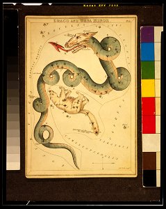 Sidney Hall - Urania's Mirror - Draco and Ursa Minor - Original