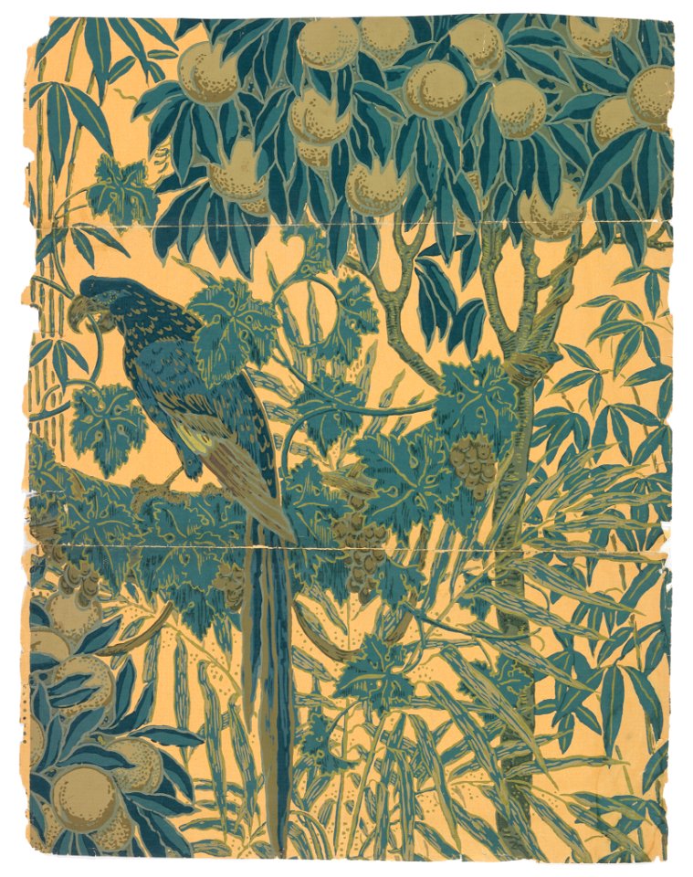 Sidewall, Macaw, 1908 (CH 18562395)