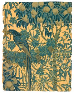 Sidewall, Macaw, 1908 (CH 18562395)