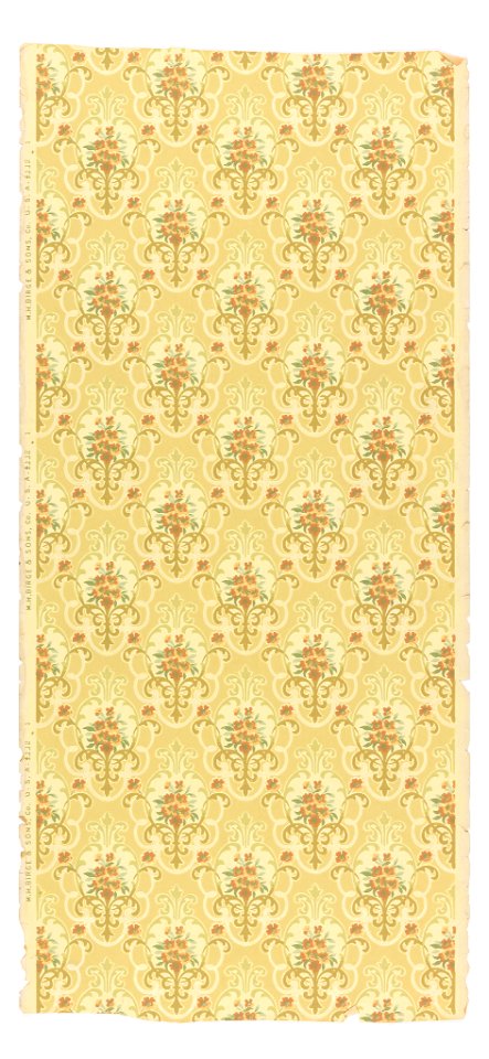 Sidewall (USA), 1895–1903 (CH 18482899)