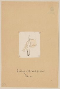 Sifting with gold powder, fig. 6 LCCN2009630207