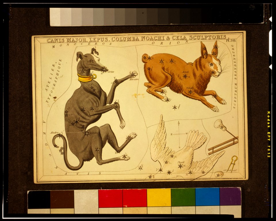 Sidney Hall - Urania's Mirror - Canis Major, Lepus, Columba Noachi & Cela Sculptoris - original