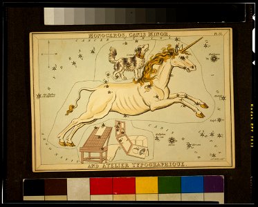 Sidney Hall - Urania's Mirror - Monoceros, Canis Minor, and Atelier Typographique - original