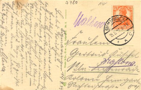 Sigmaringen, Baden-Württemberg - Hirschsprung (back) (Zeno Ansichtskarten)