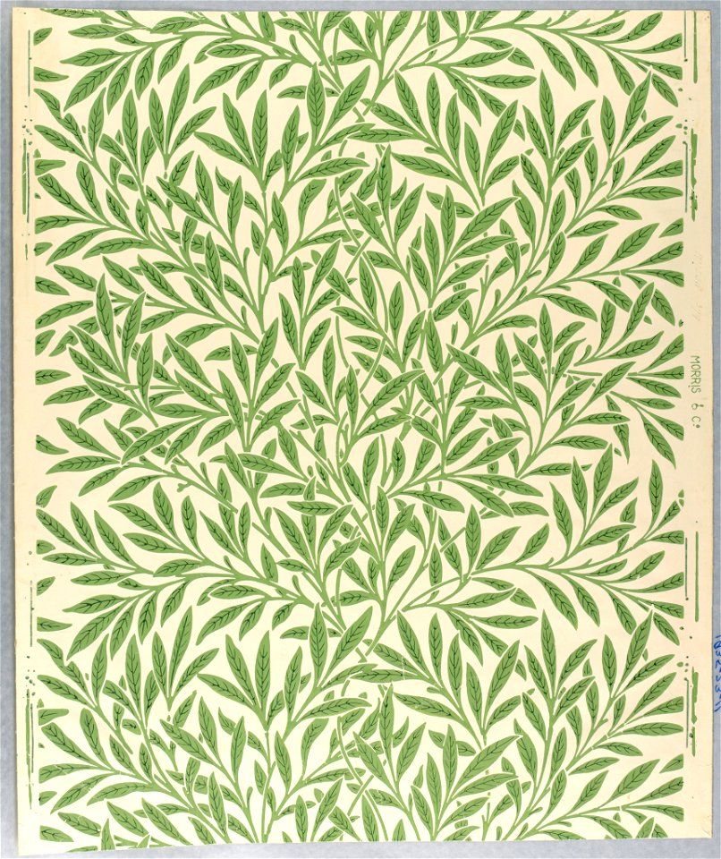 Sidewall, Willow, 1874 (CH 18340043-2)