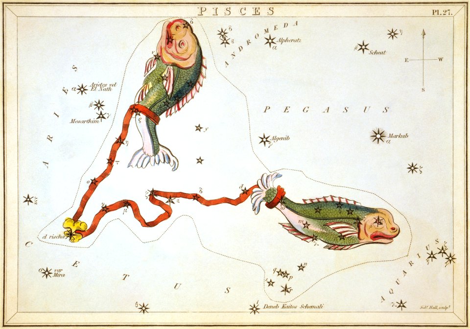 Sidney Hall - Urania's Mirror - Pisces