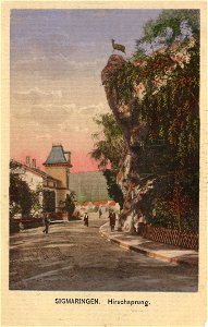 Sigmaringen, Baden-Württemberg - Hirschsprung (Zeno Ansichtskarten)
