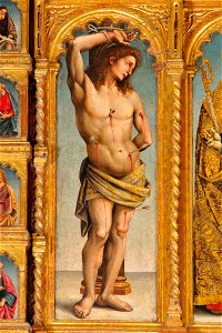Signorelli Luca (1507), San Sebastiano, Senigallia