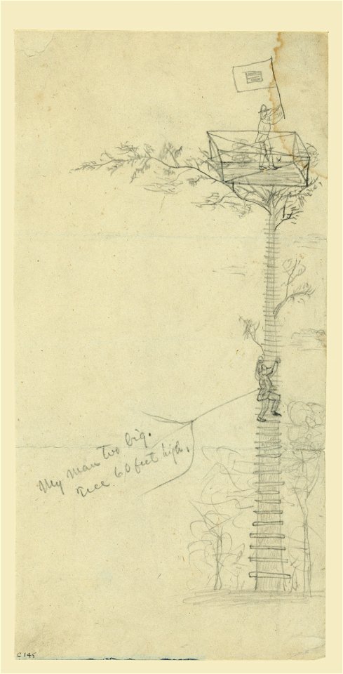 Signaling from treetop LCCN2004661368