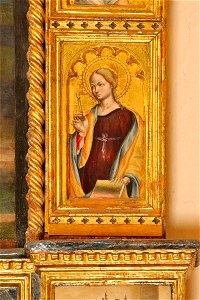 Signorelli Luca fine sec. XV-inizio sec. XVI, Santa Apollonia, Senigallia