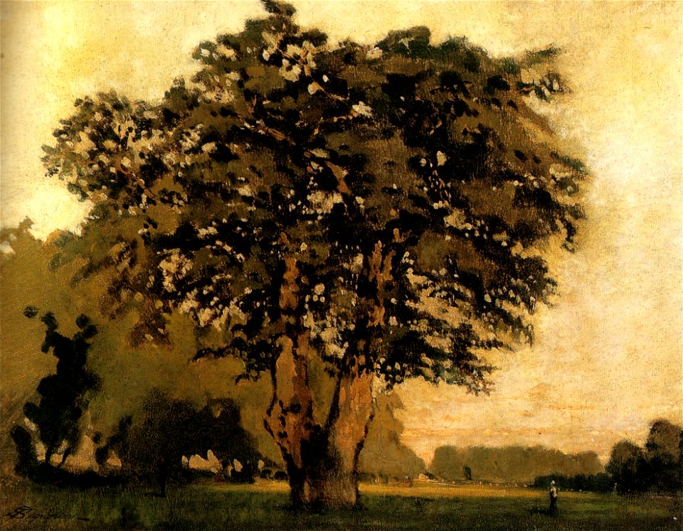 Telemaco Signorini, Il Quercione alle cascine 1862-66, 35,5x45,5 cm