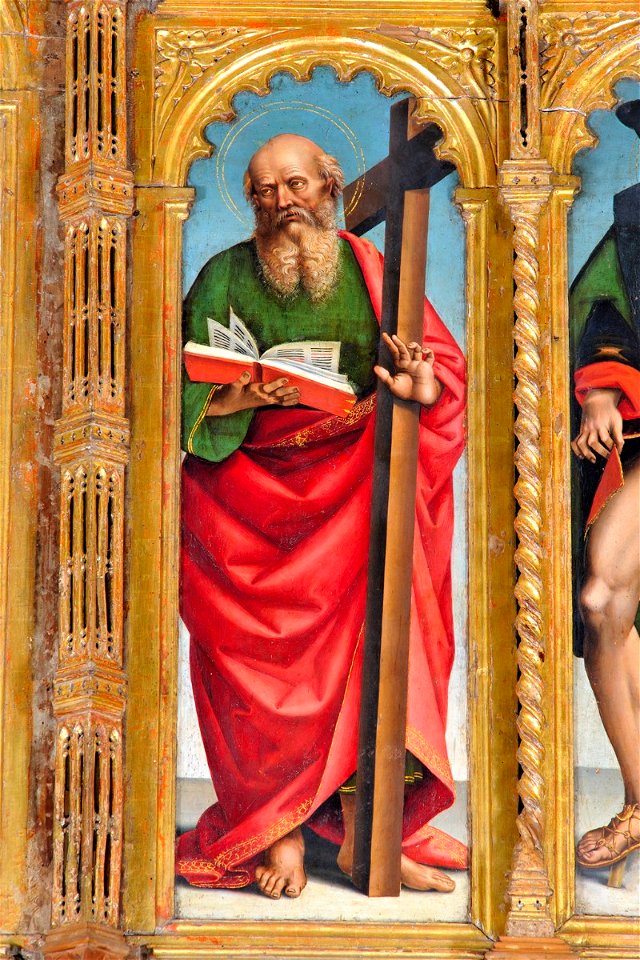 Signorelli Luca (1507), San Filippo, Senigallia