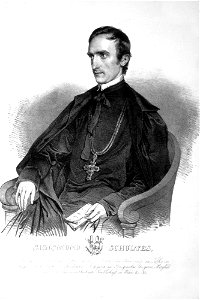 Sigismund Schultes Litho